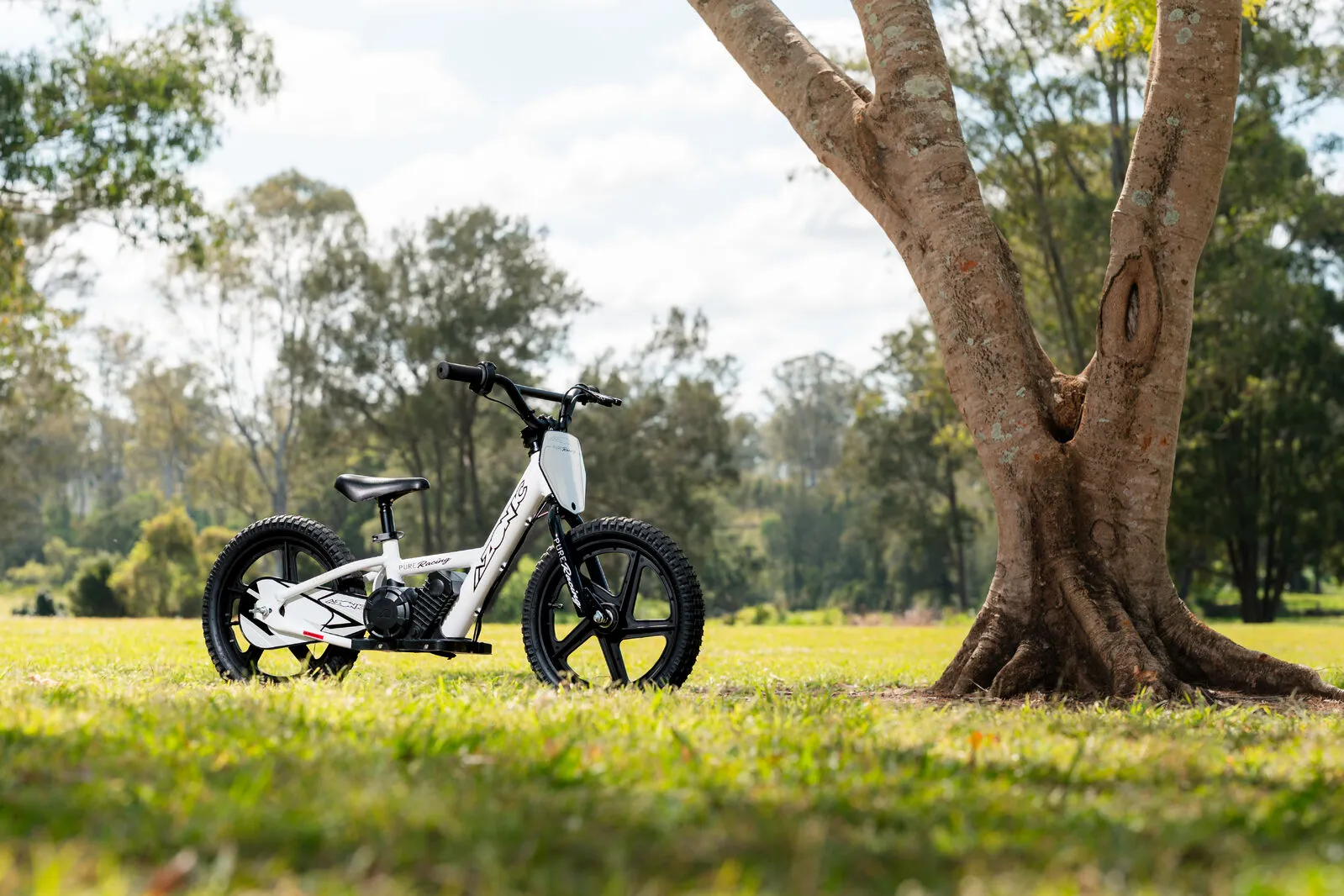 AZONIC PURE 12 24V ELECTRIC BALANCE BIKE | 24V 150W - Image 8